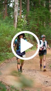 BIB:  <button type="button" onclick="openModal(26813758)" class="btn btn-primary btn-sm float-right" data-toggle="modal" data-target=".modal-high-quality">
                <i class="fa fa-download"></i> Download
                </button>